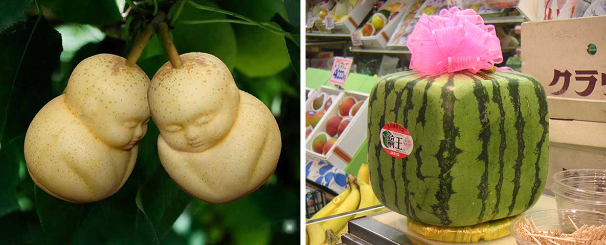 Buddhaformade päron och en fyrkantig melon.
