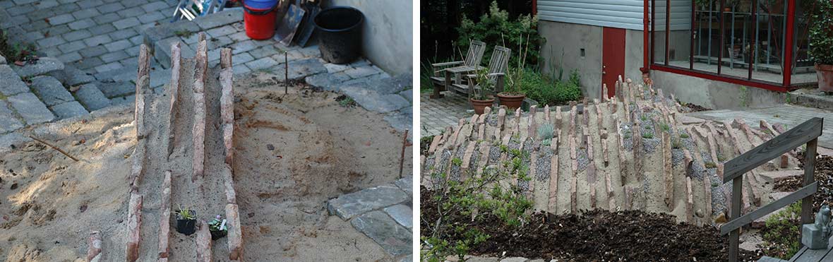 Anläggning av crevice garden.