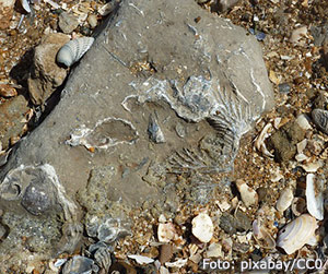 Mineraler.