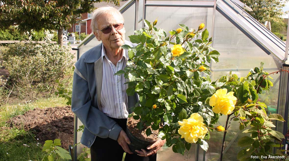 Nils Åkerstedt.
