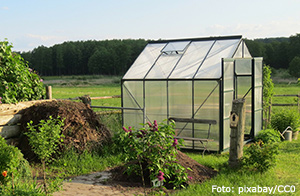 Litet växthus.
